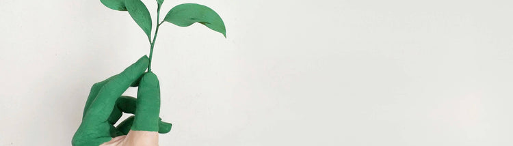 From Your Cart to the Soil: How We Track Every Plant